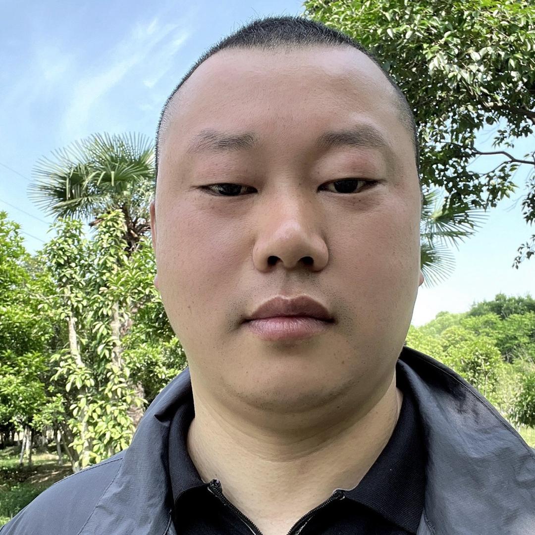 大象格子