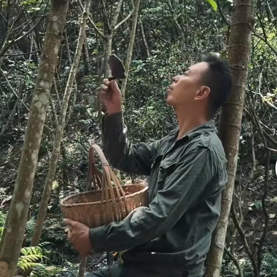 小董哥-