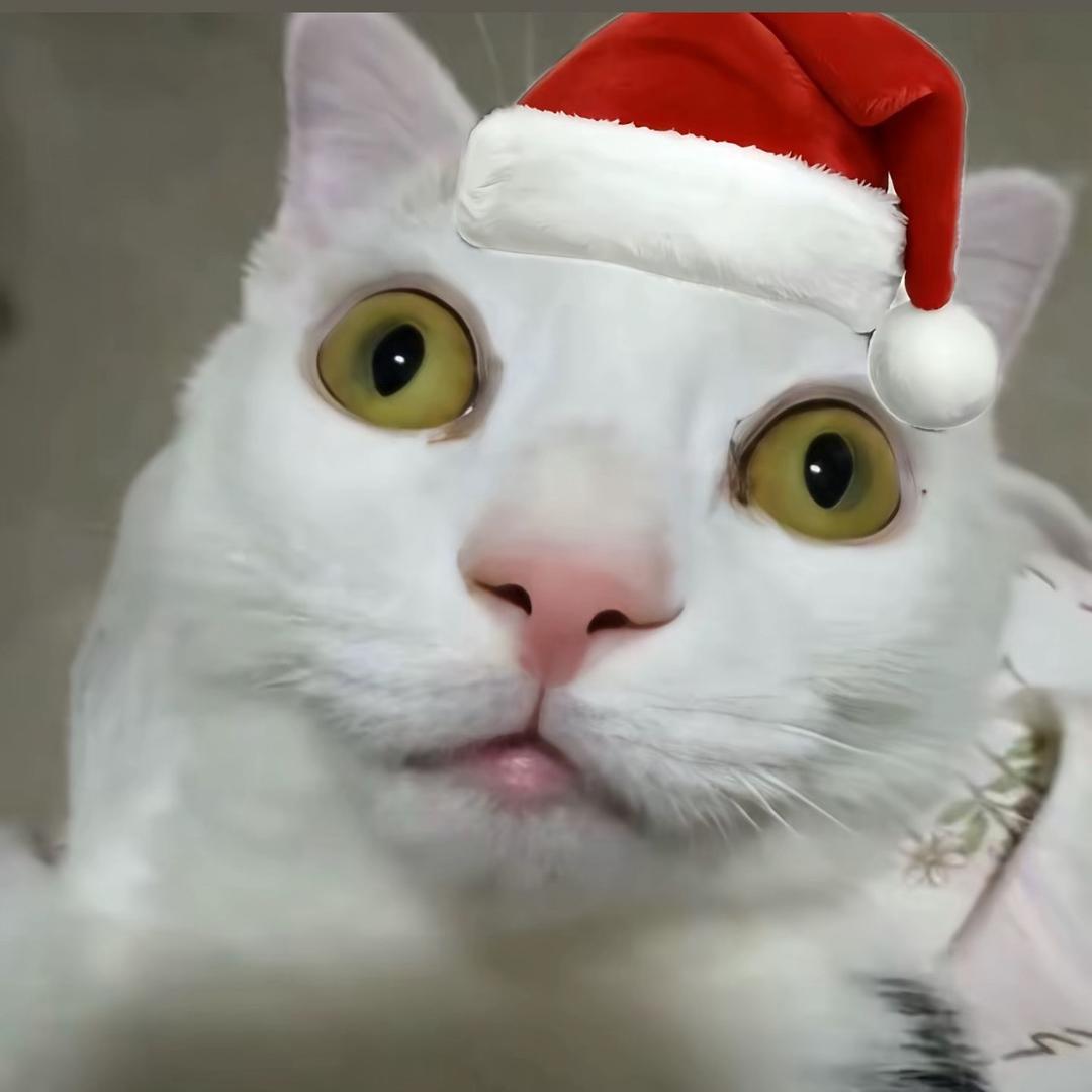 你和盐有一个共同点