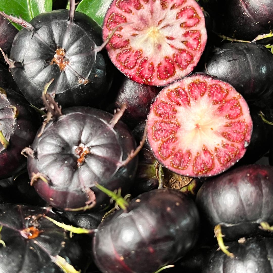 云南红果参源头