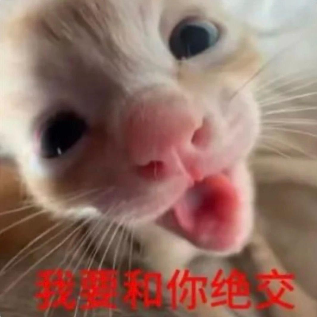小兔牙