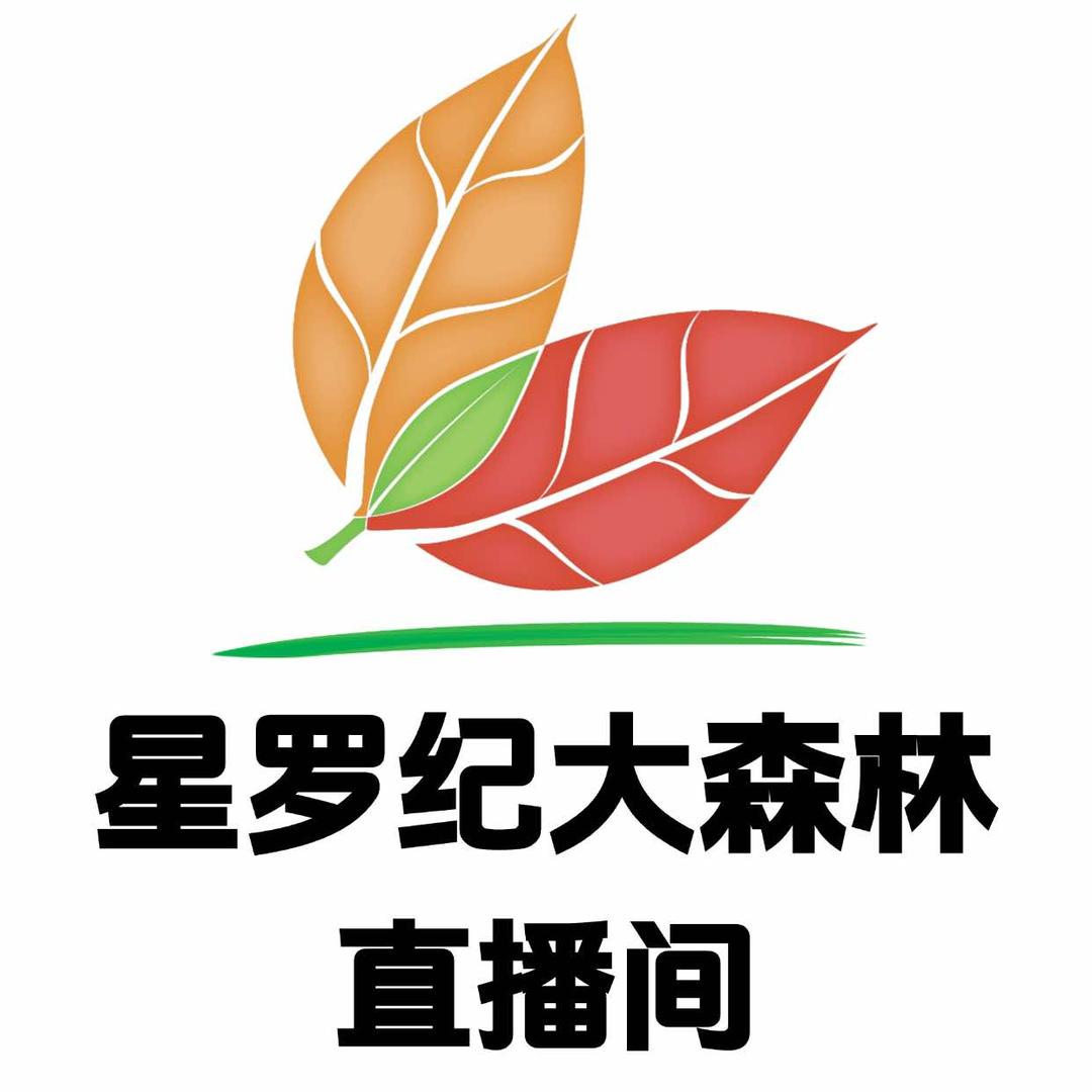 星罗纪大森林景区（腾空高空漂流现场）