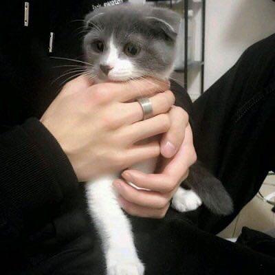 青柠说漫