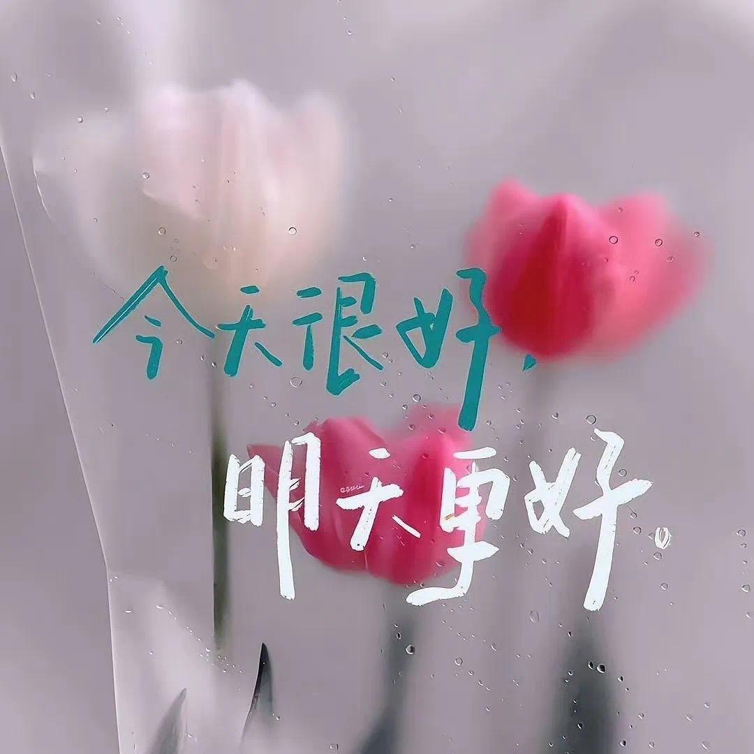 柠🦋