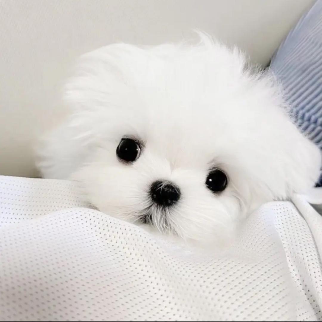 Yy