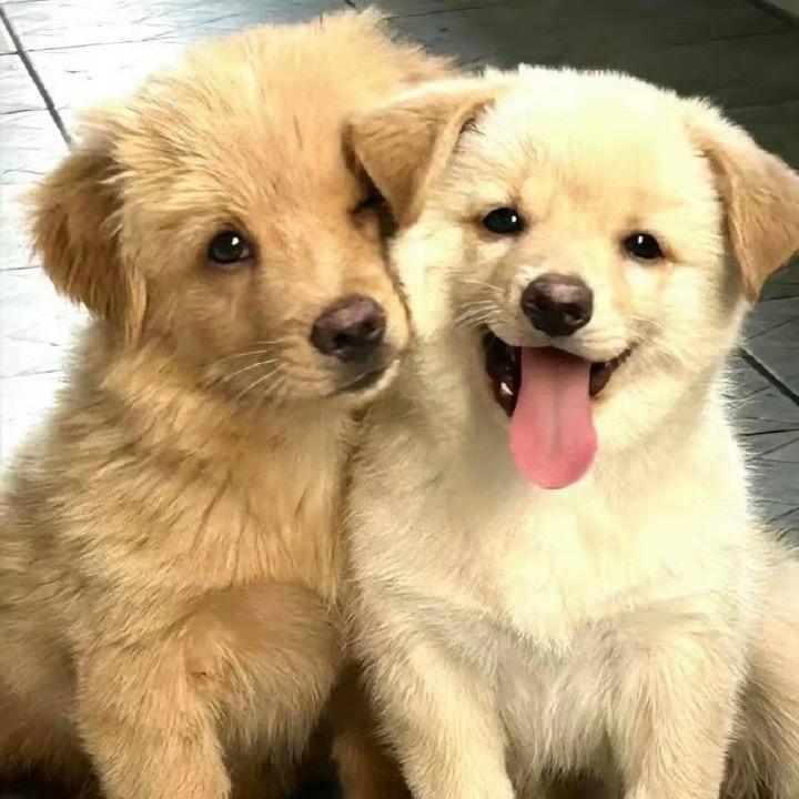 无锡的夏天怎么这么热