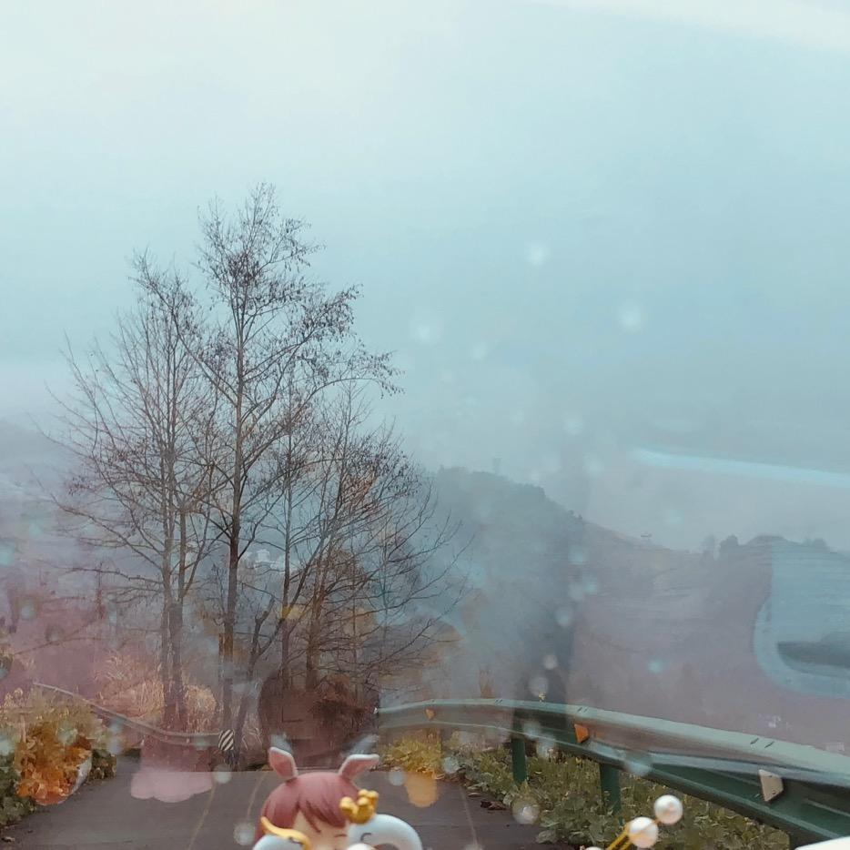 无情风雨