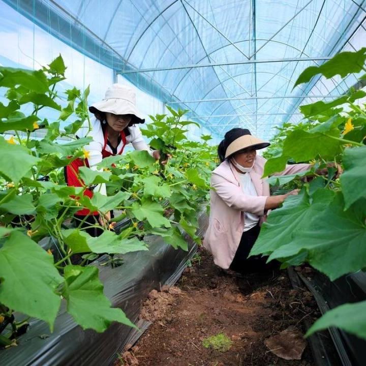 阿星好物分享