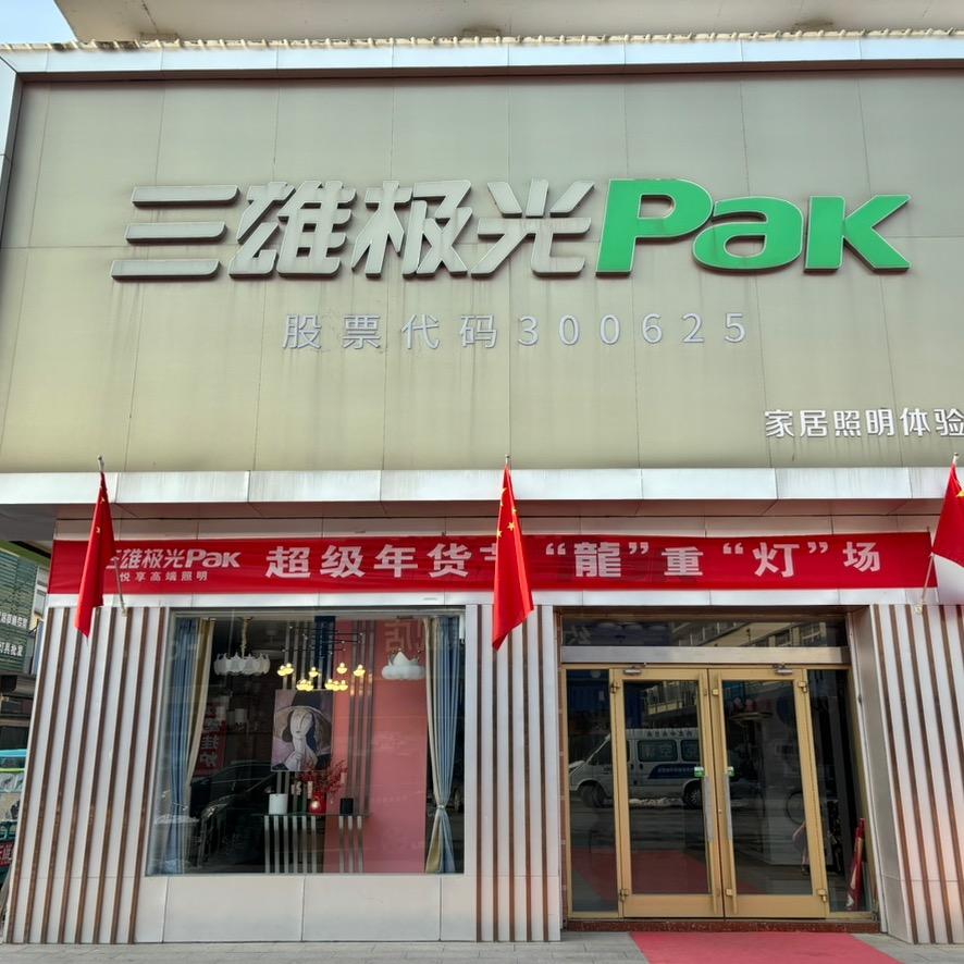 三雄极光Pak照明(鲁北大市场店)专用号