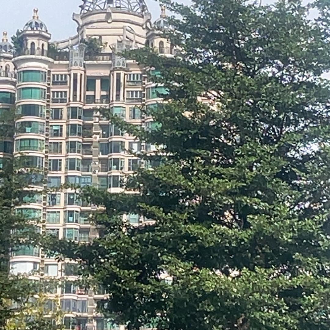 我会慢慢忘记一切