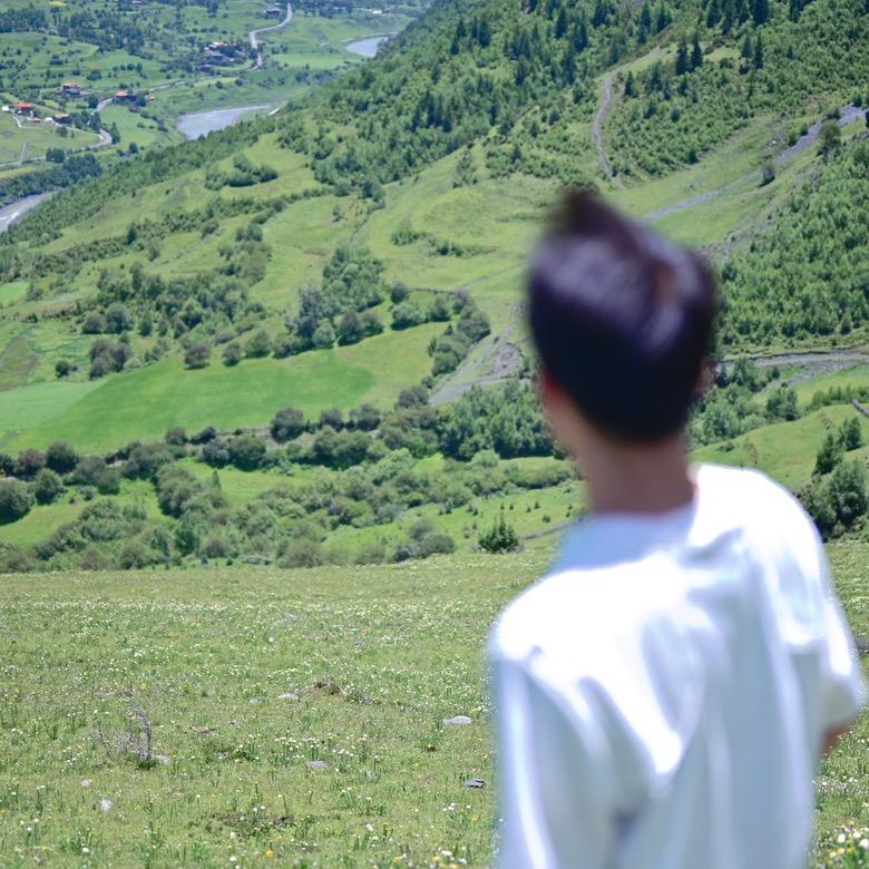 柏汇🌾