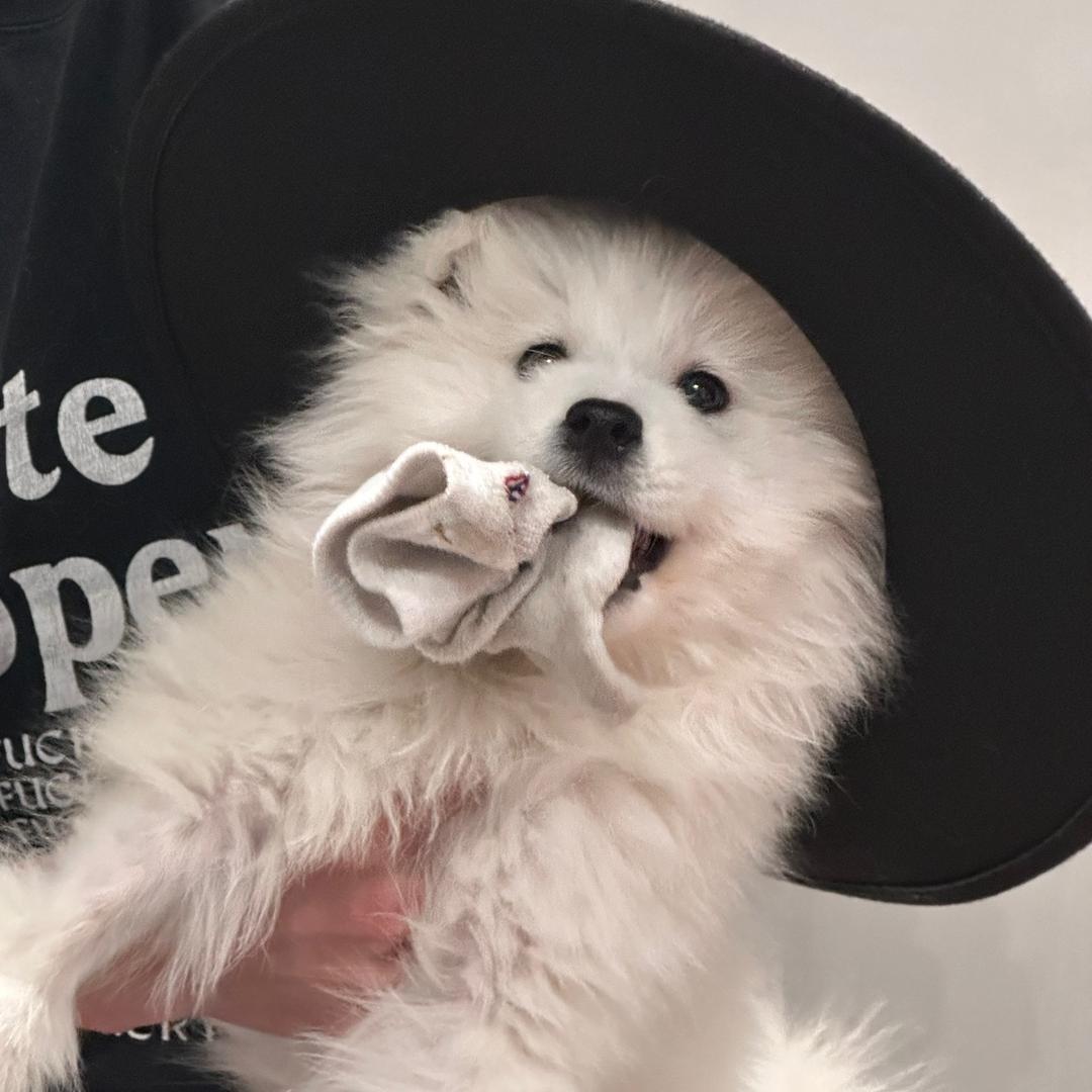 xwyupachong