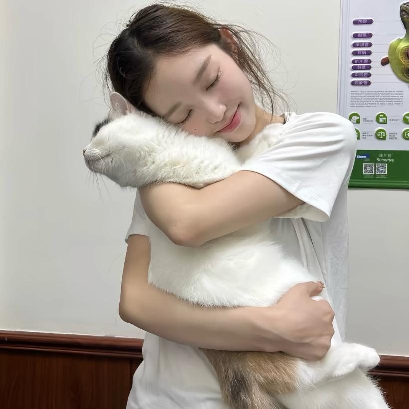 猫拆了我的信