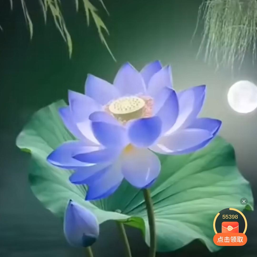 玫瑰🌹3183274878🌹用户