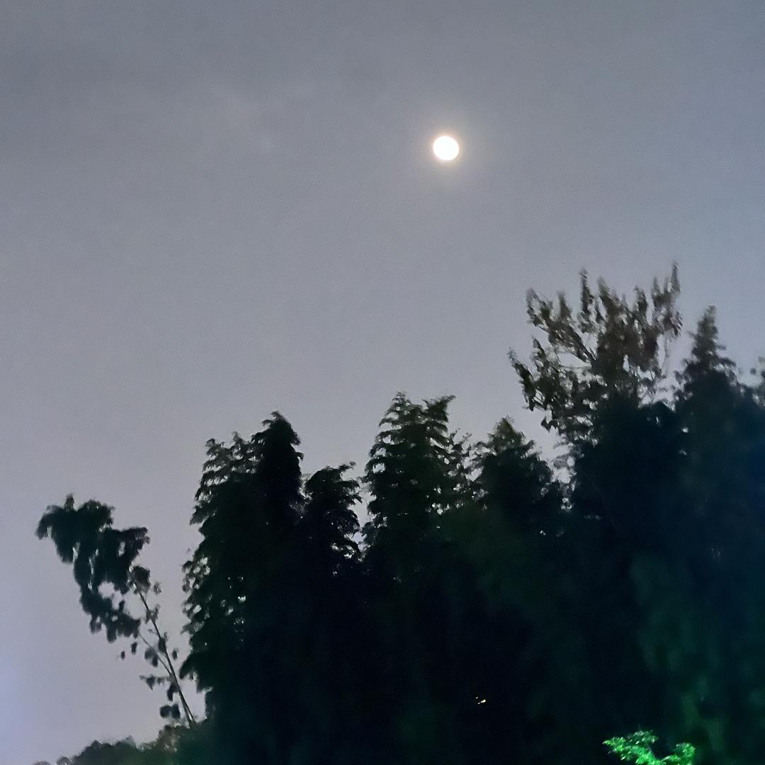 ໑ຼₒ₂₅ღ好运加满⁺¹⁰⁰