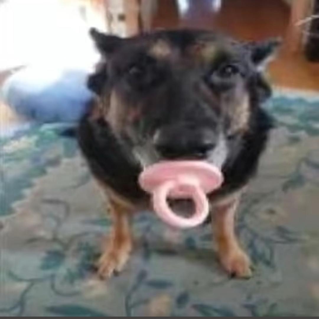 我不想再炸机了