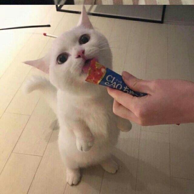 🍚🦌