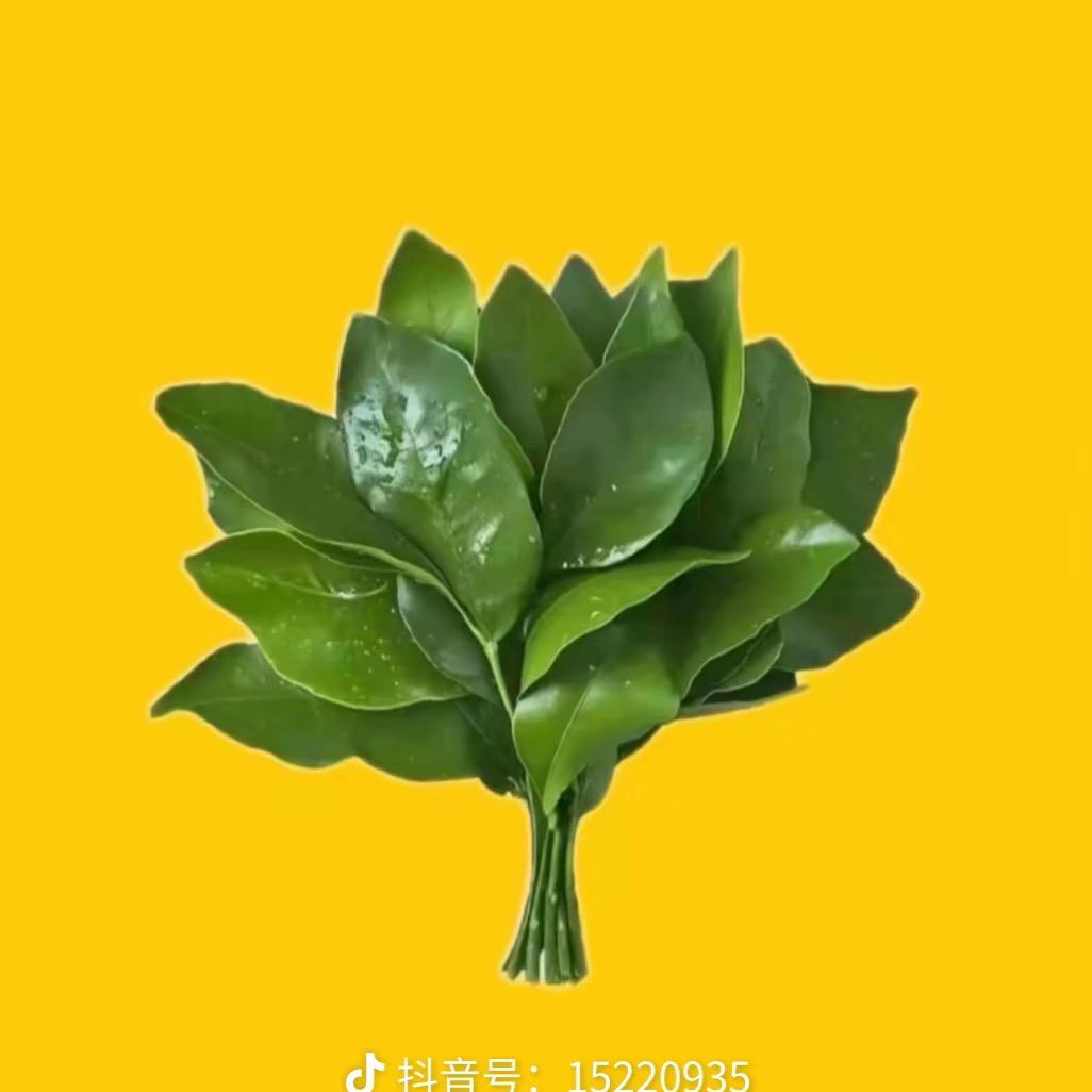 晚餐
