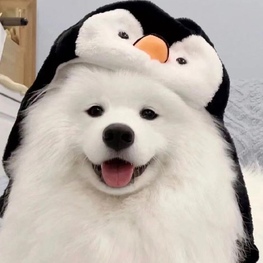 苦 瓜