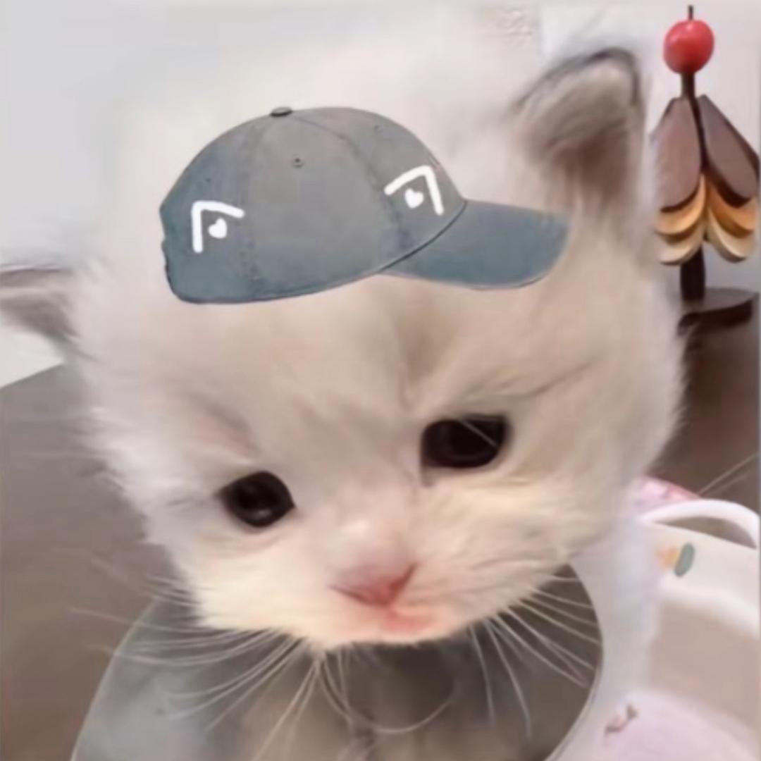 素颜