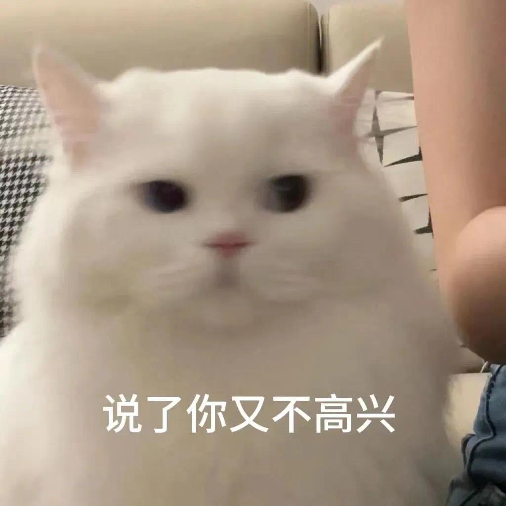 老婆再爱我一次