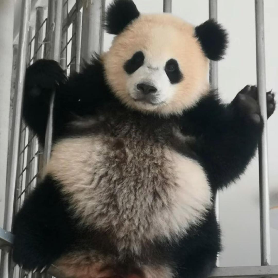 程程