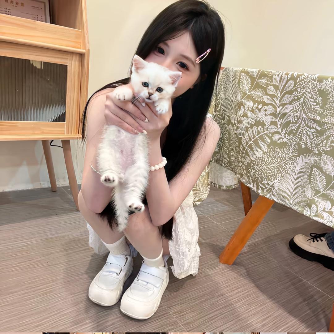 孙美美