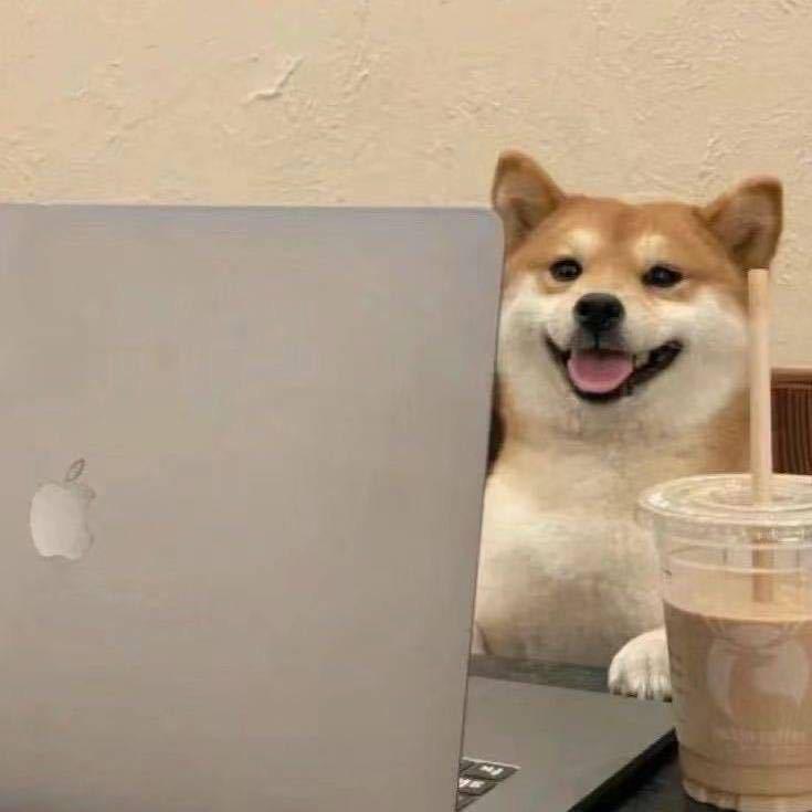 假的