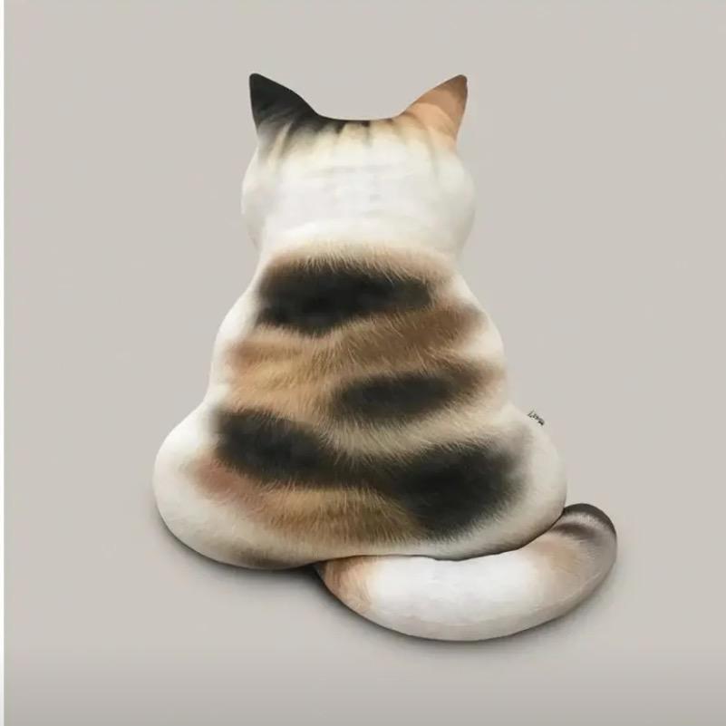 橘小胖机能鞋