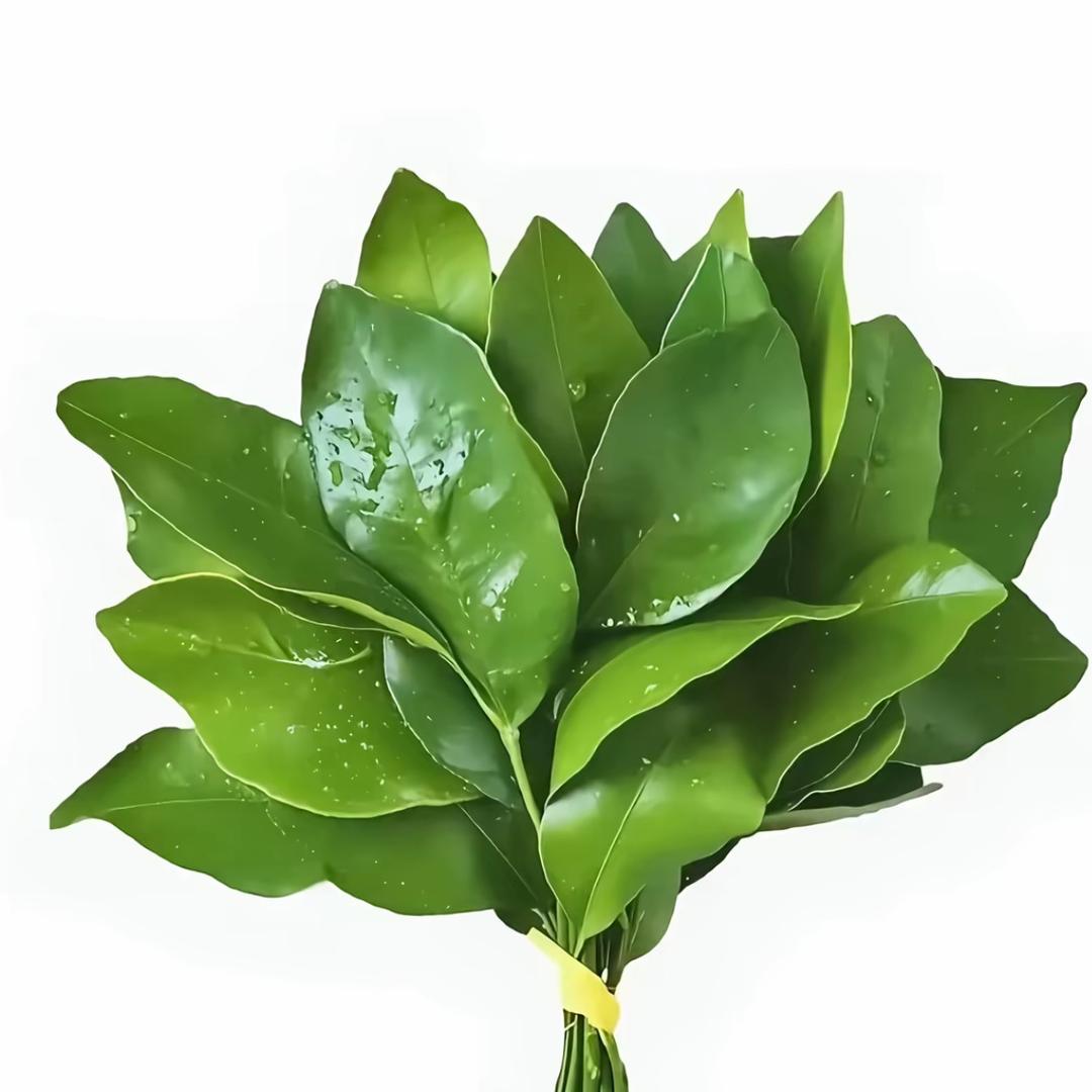 小孩
