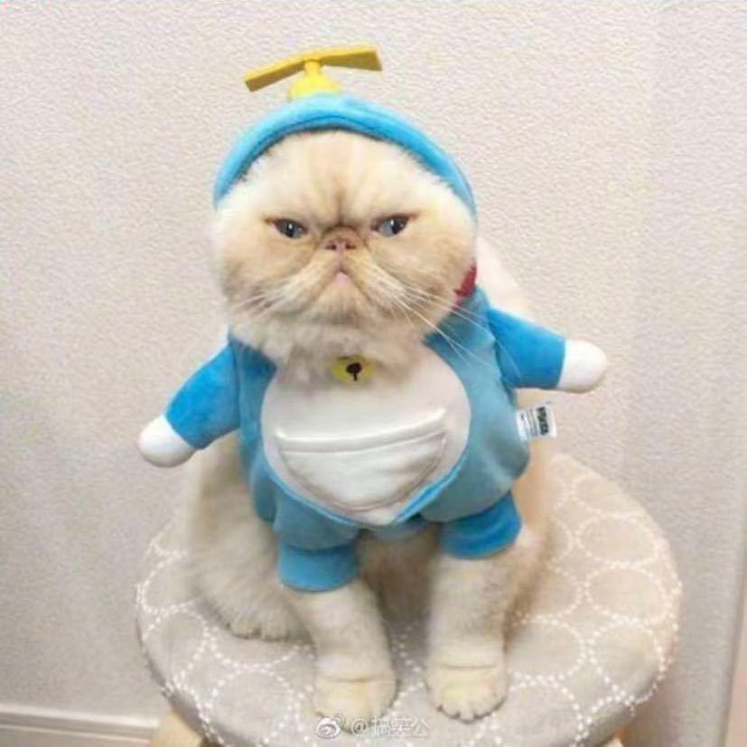 小宇