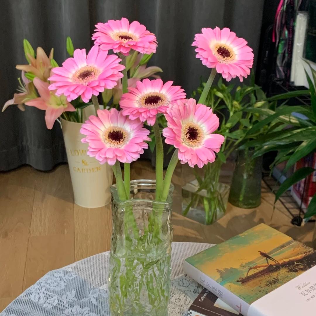 萌朵花卉