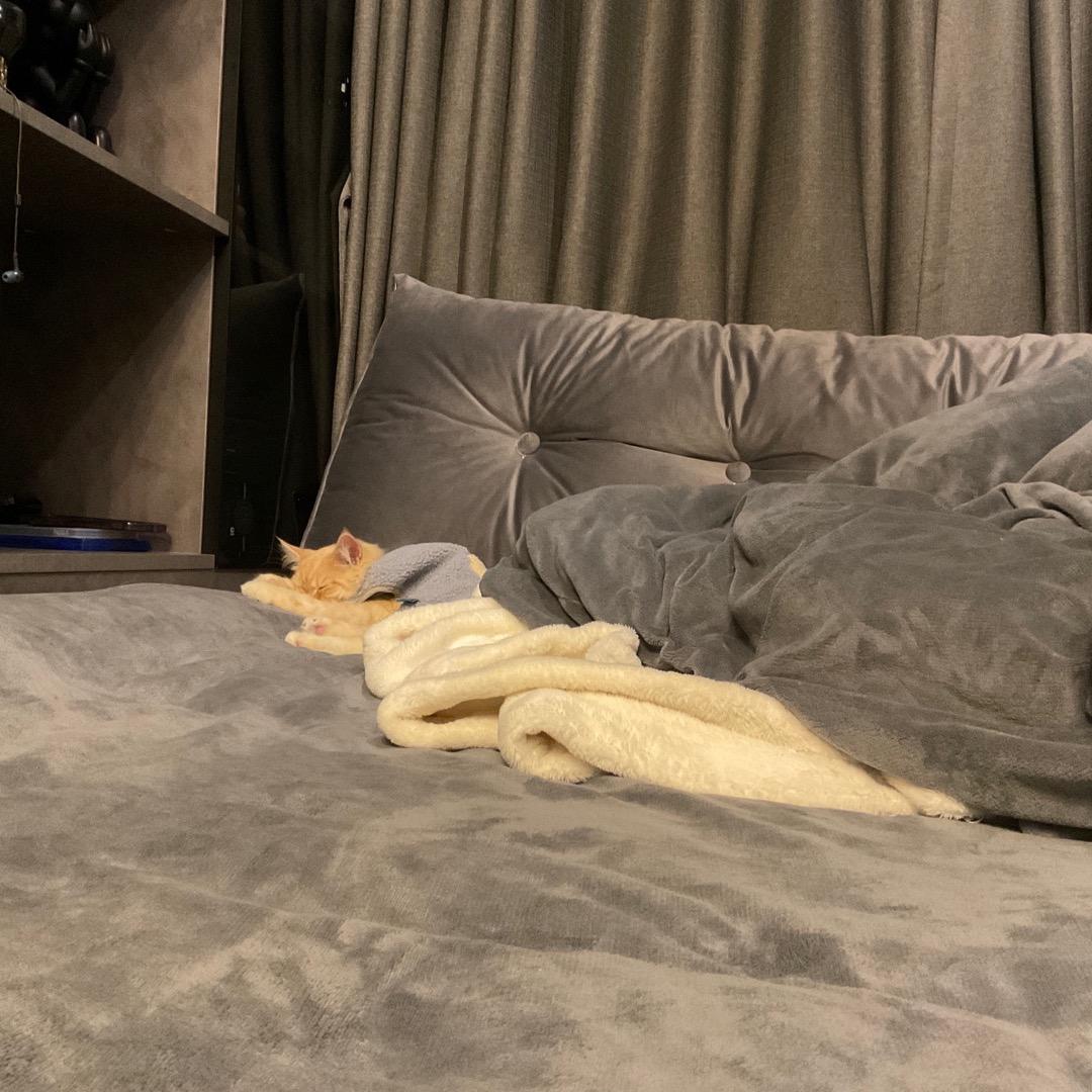 无情的跑刀机器