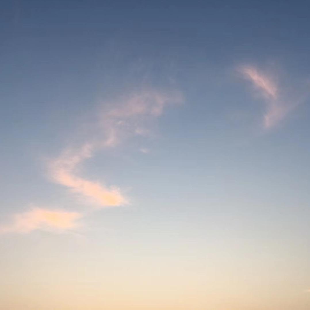 🐟逆流而上