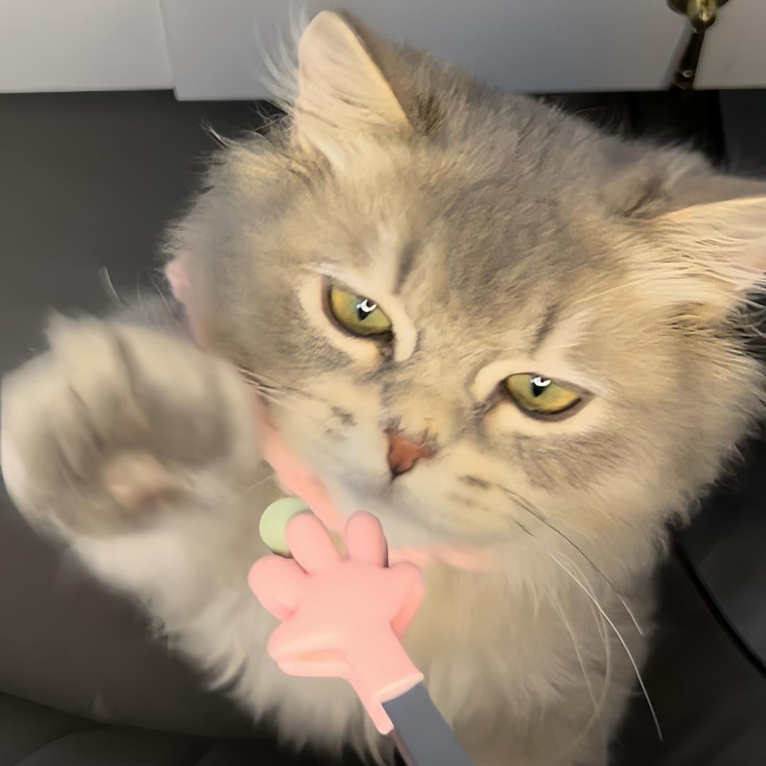 四月来啦🐈