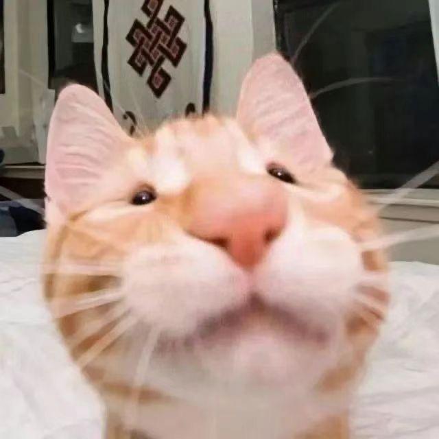 寻寻寻xun