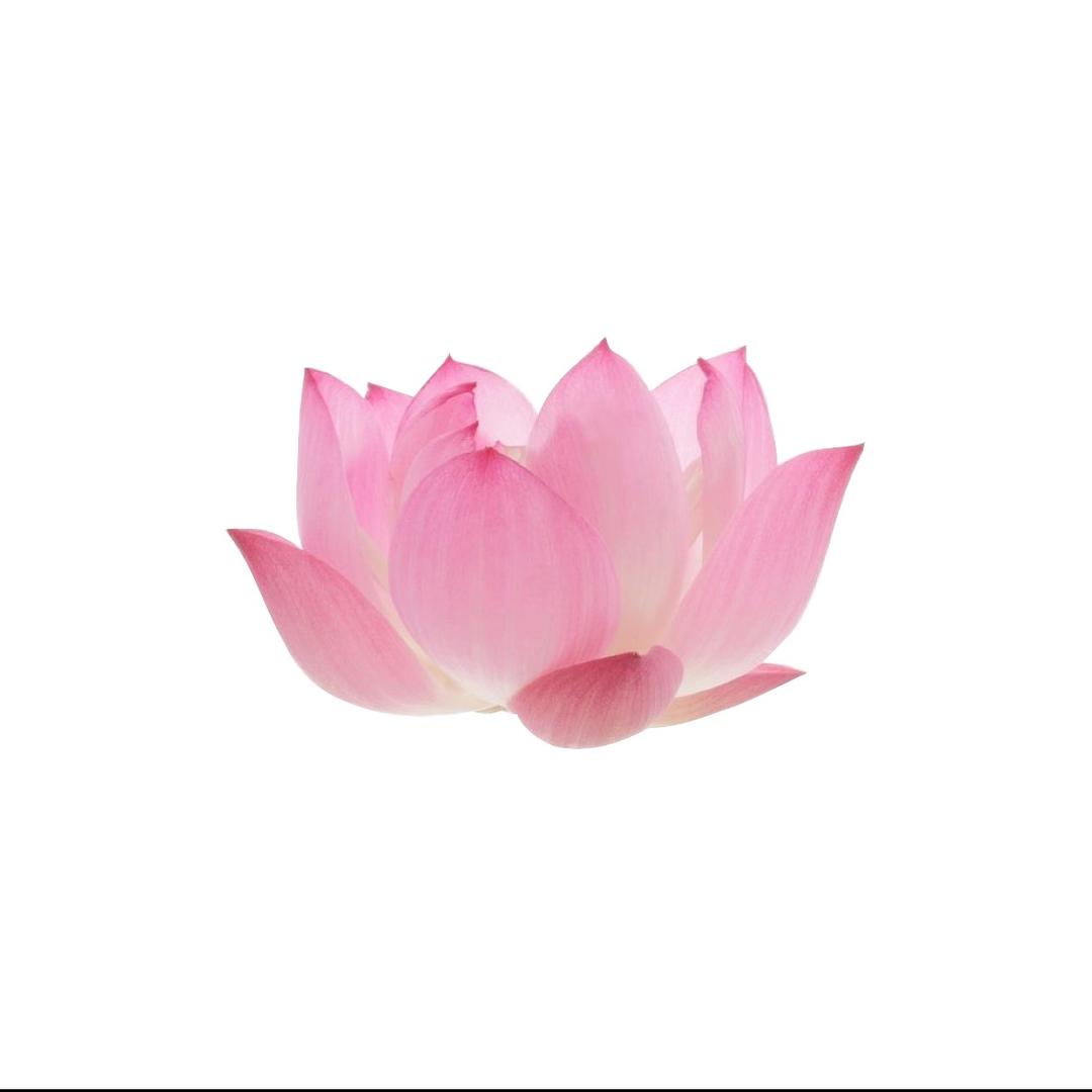 少吃宵夜