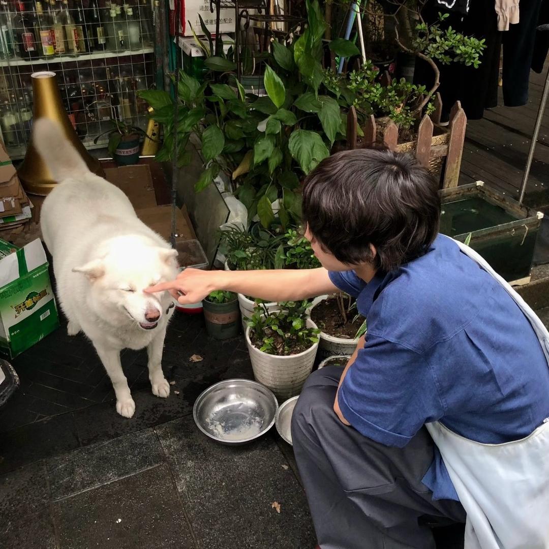 新一.（请多多关注）