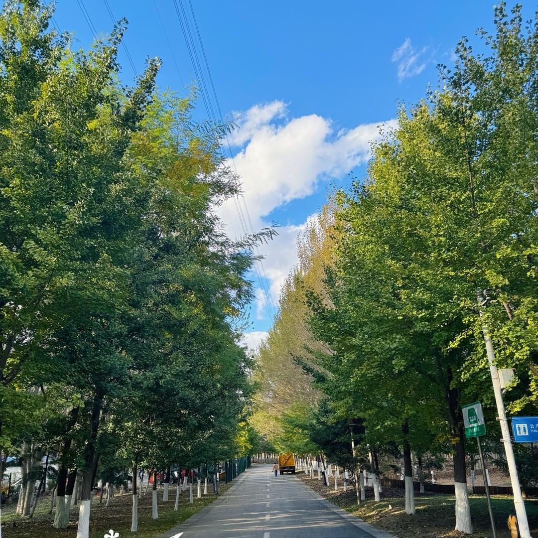 小小的太阳太阳