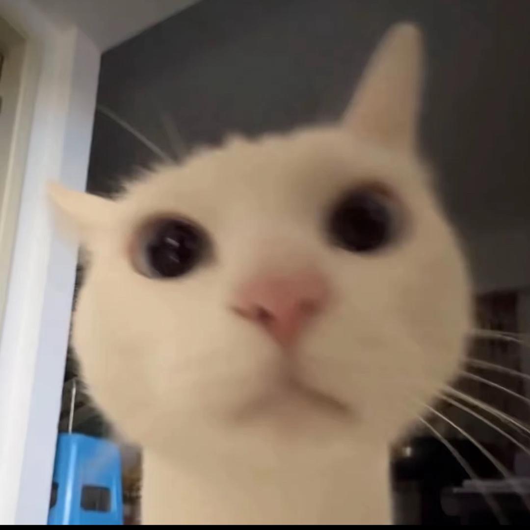782546335
