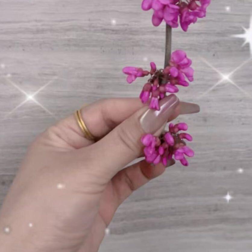 👉朝东汪莤👈