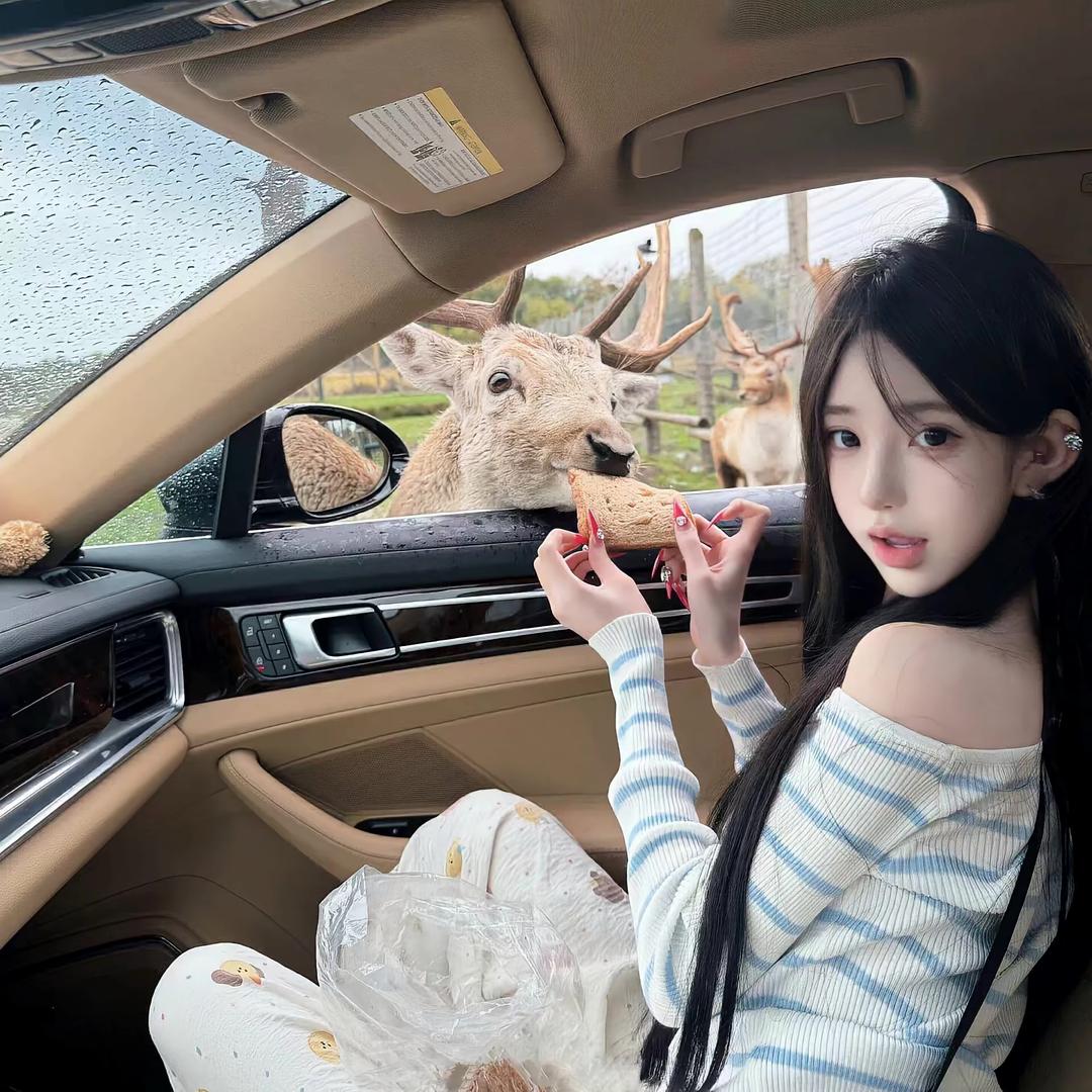 不乖还贱