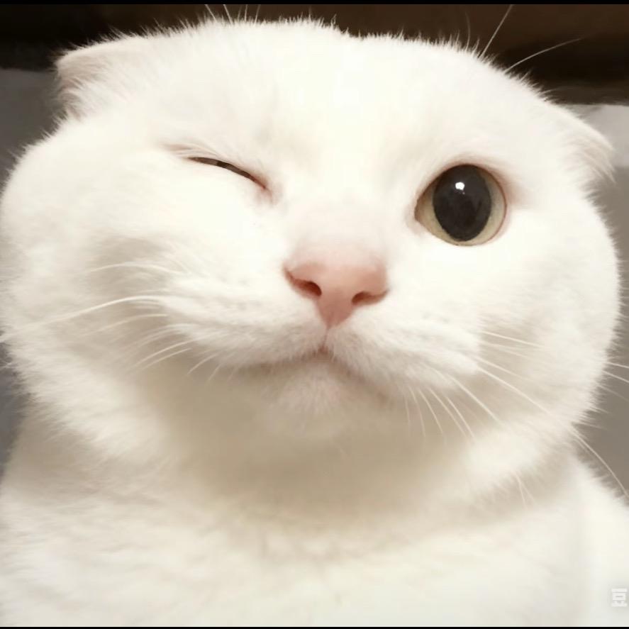黠