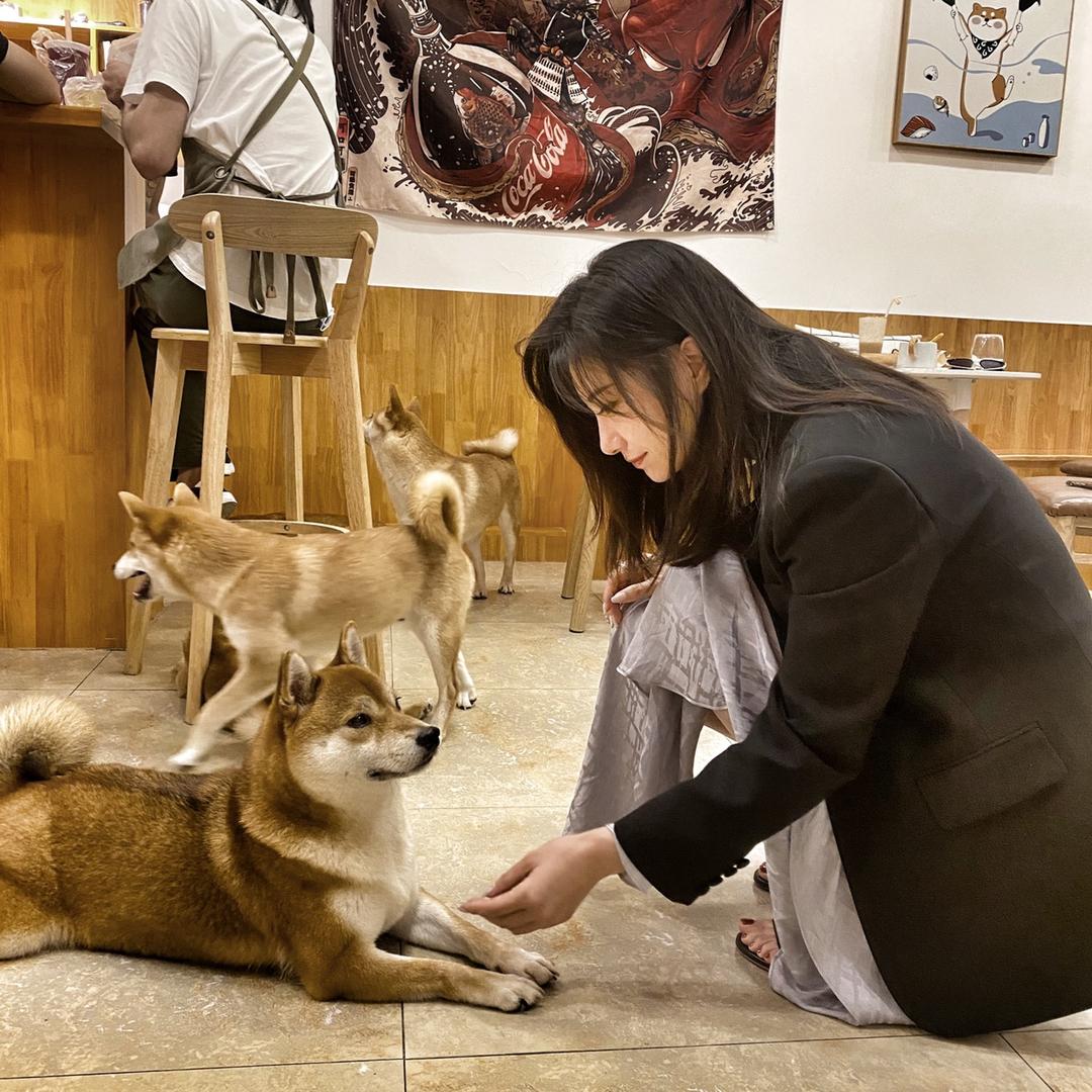 奥特蛋