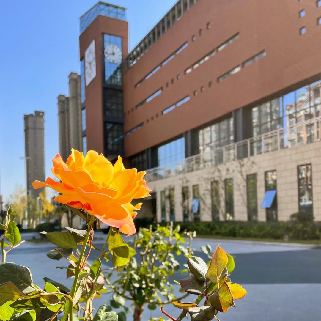 郑州市郑开学校