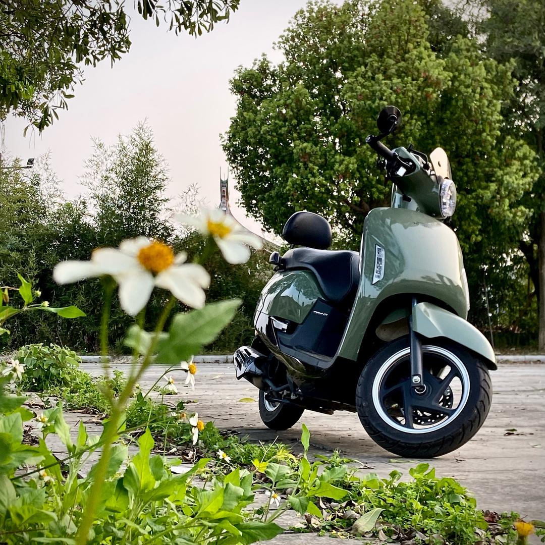 Ns125la小轰达🛵