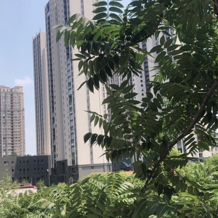 许昌市胡金祥
