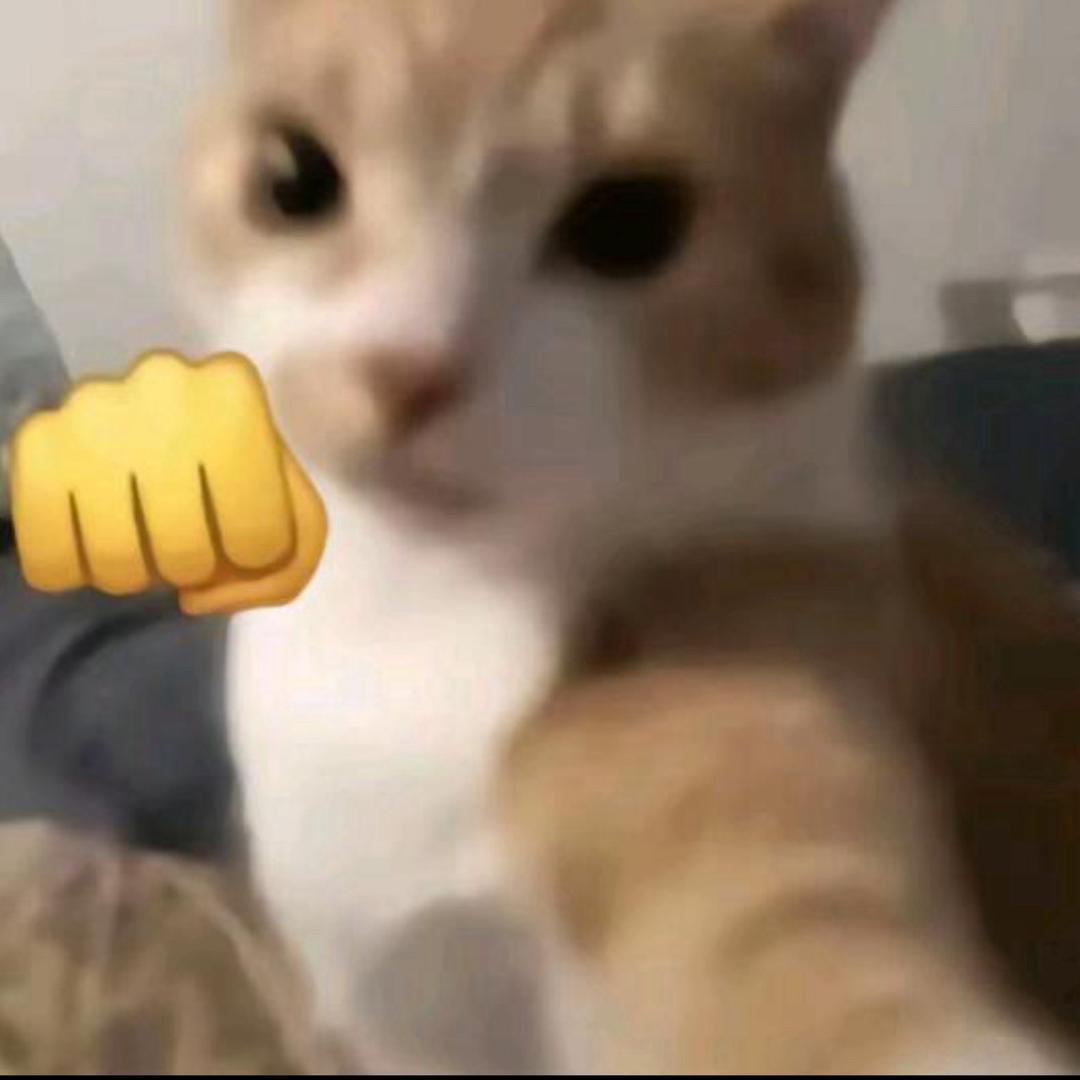 没有感情的死中分