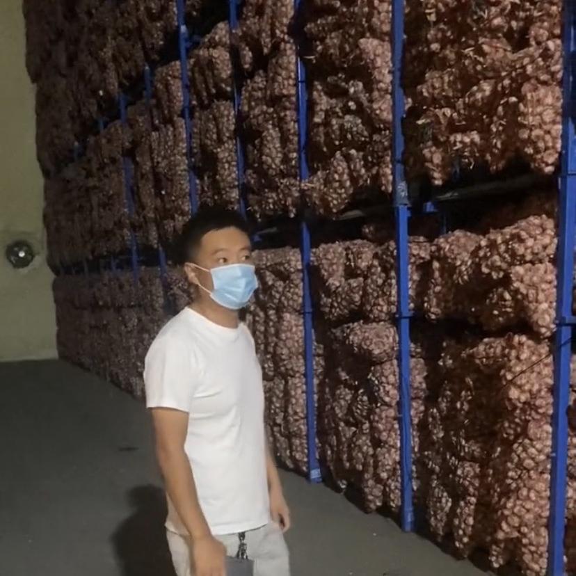金乡大蒜张浩 开鑫农贸