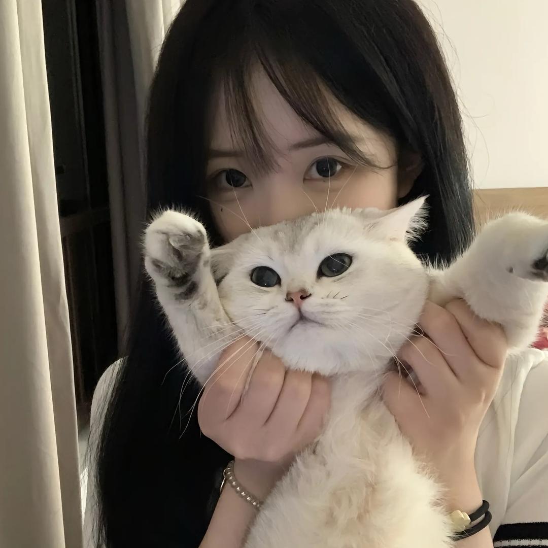 小橘